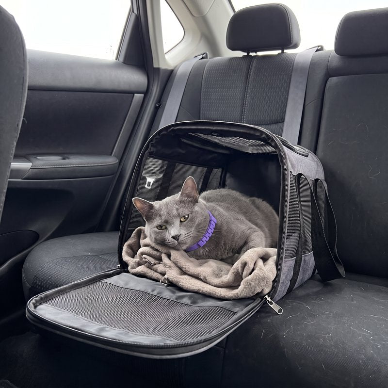 Katze mit Halsband in der Transportbox im Auto