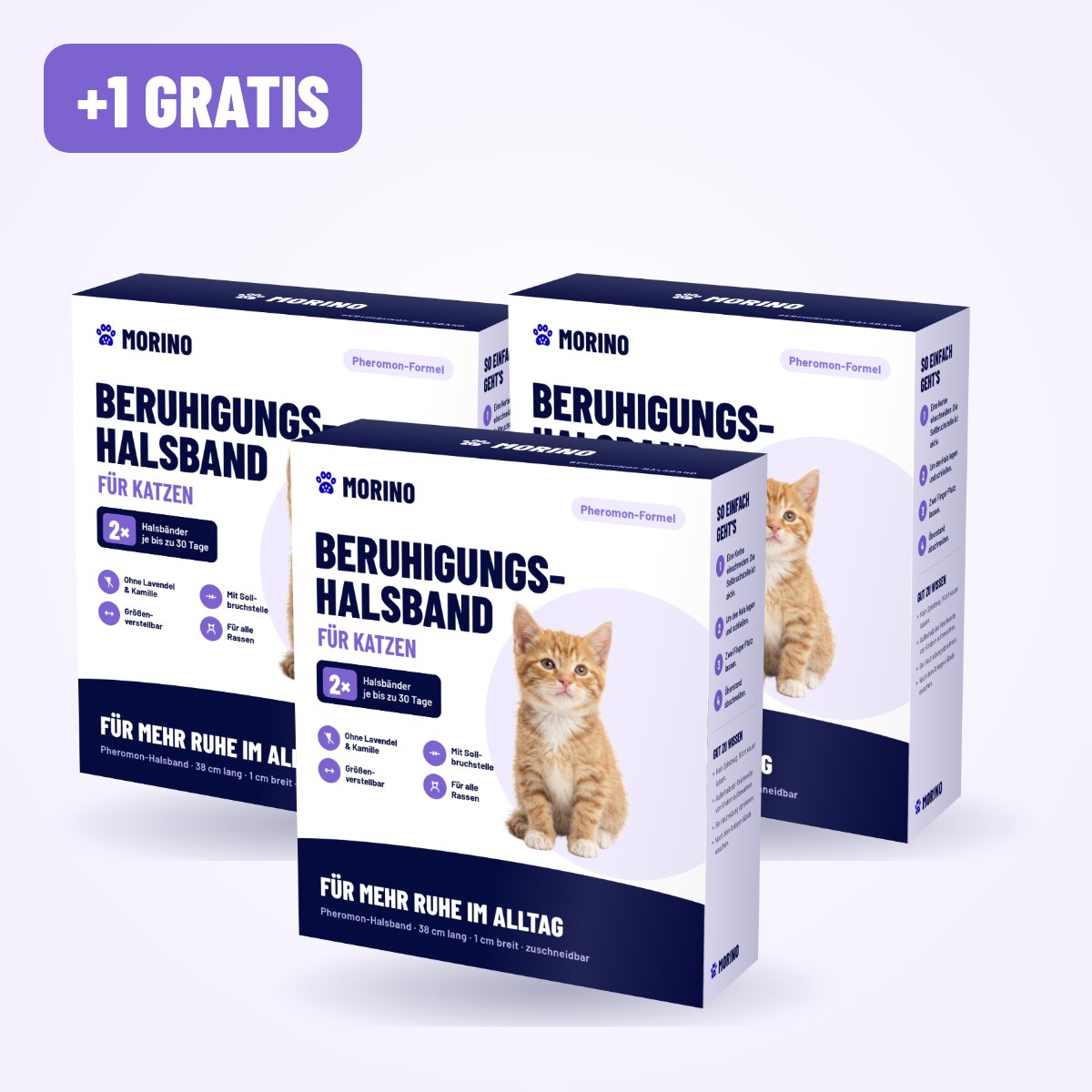 Kaufe 2, erhalte 1 gratis